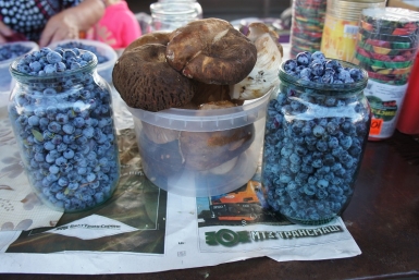 Желание отведать жареных грибов и голубики заставит раскошелиться жителей Биробиджана. Автор фото: Ольга Шмидт, ИА ЕАОMedia