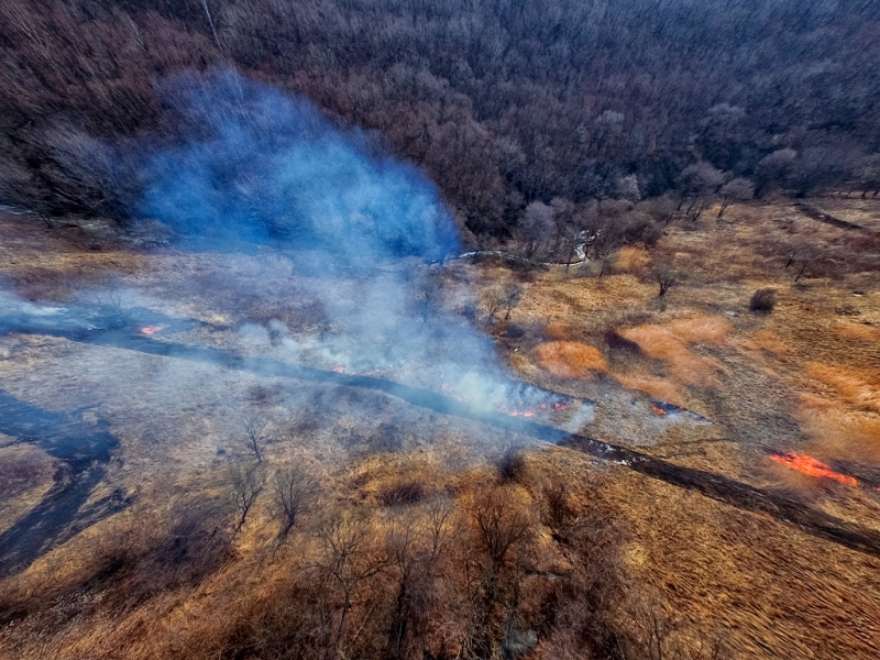 16 лесных пожаров ликвидировали в Иркутской области за сутки