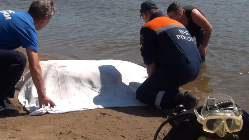 Тело 8-летней девочки, утонувшей в Хабаровском крае, обнаружили водолазы