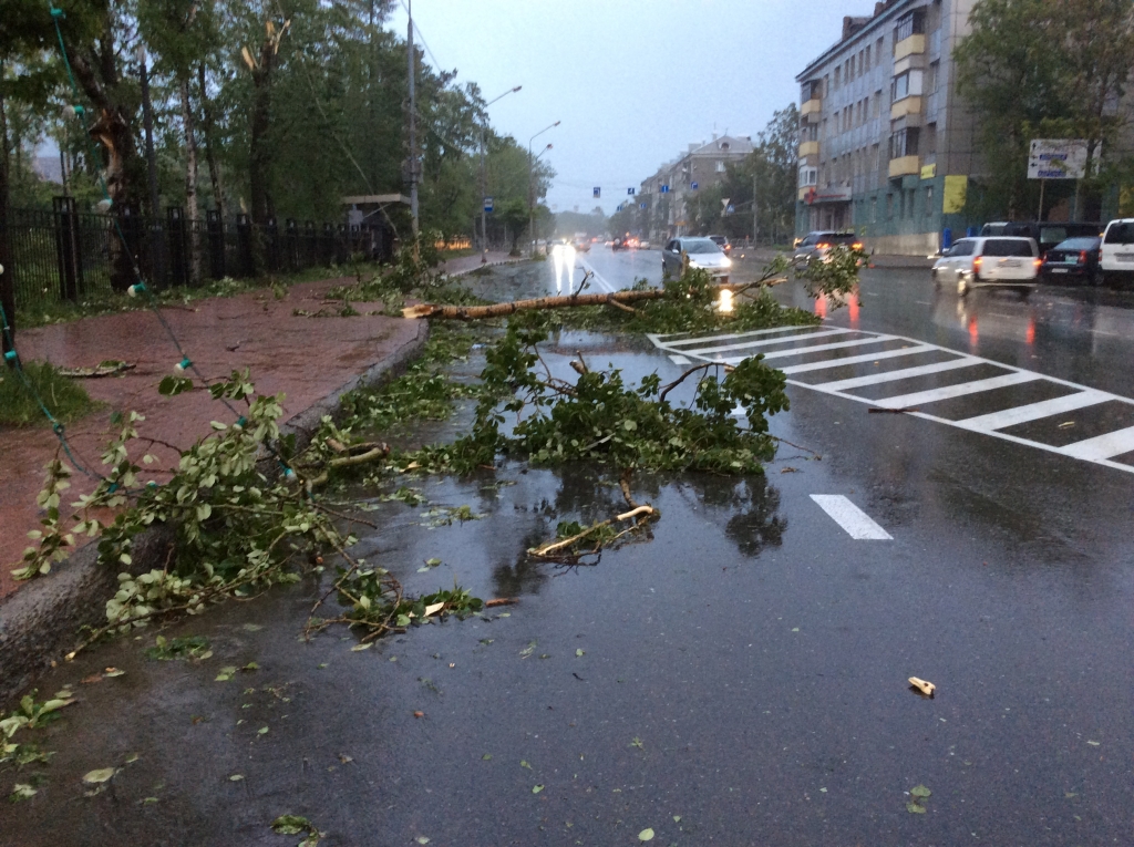 Ураганный ветер повалил десятки деревьев в Южно-Сахалинске