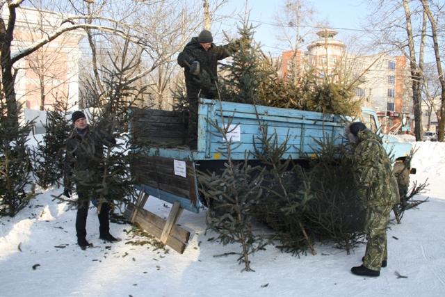 Почти 800 новогодних 