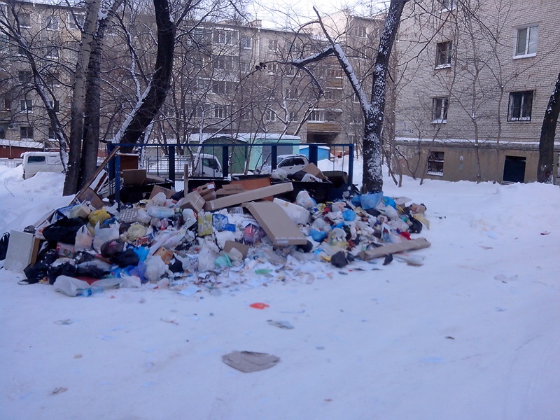 Погрязнуть в мусоре могут жители  одной из центральных улиц Хабаровска