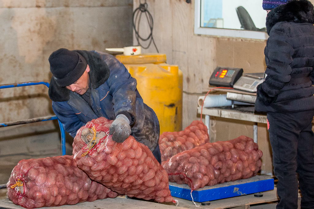 Овощи и крупы люди скупают в пригороде Владивостока мешками