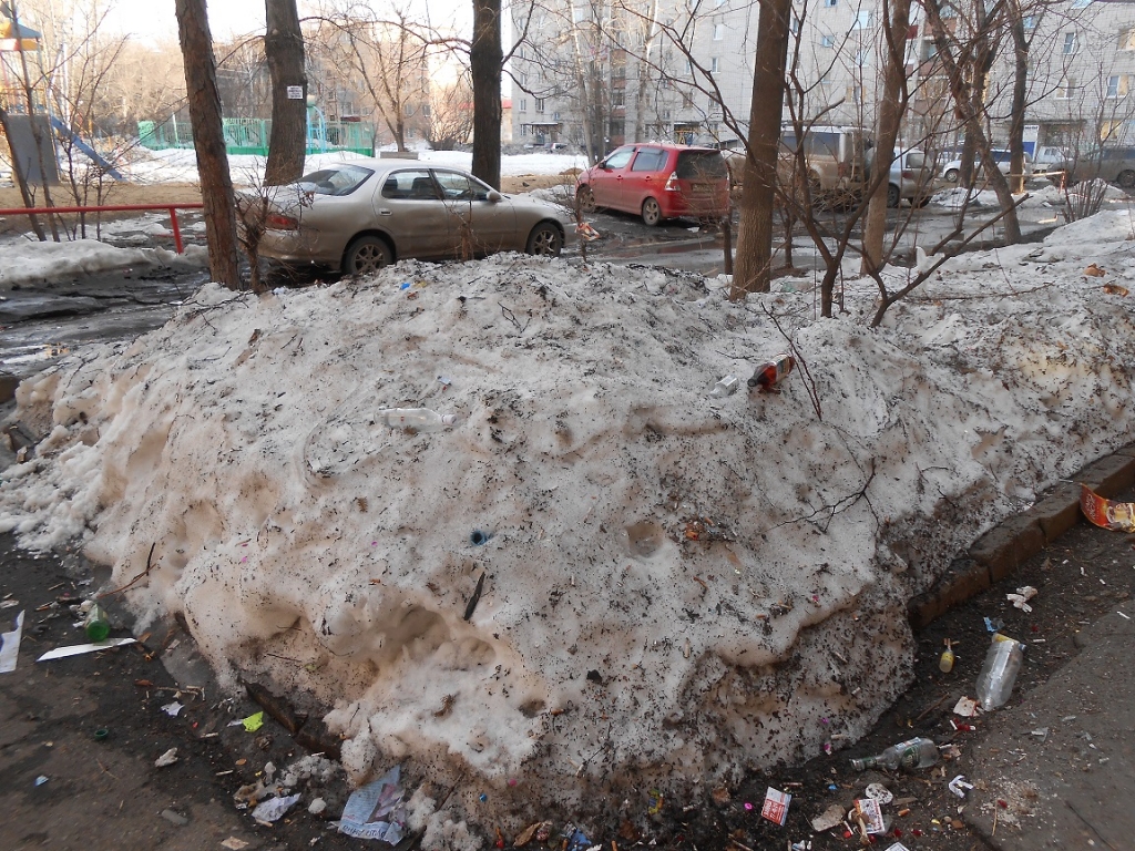 Улицы и дворы Первого микрорайона в Хабаровске утопают в грязи и мусоре