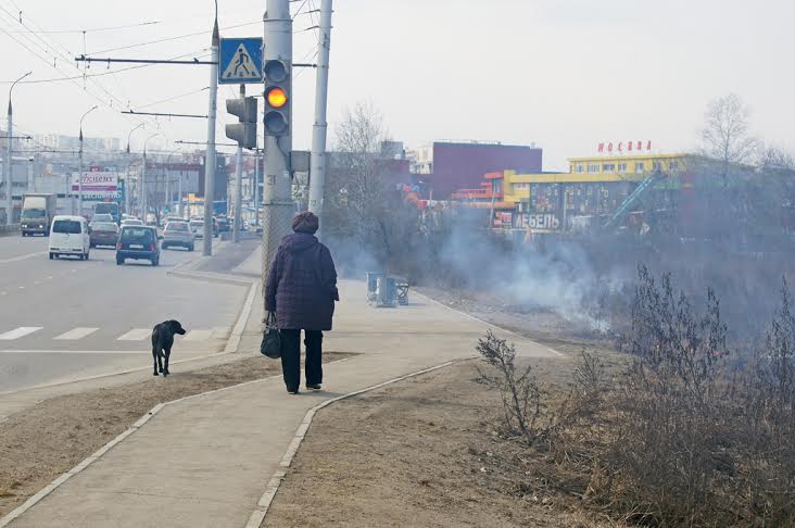 Сухую траву подожгли в черте Иркутска 