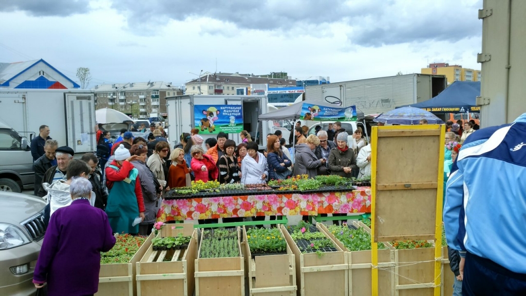Сельскохозяйственную ярмарку провели на площади Победы в Южно-Сахалинске 