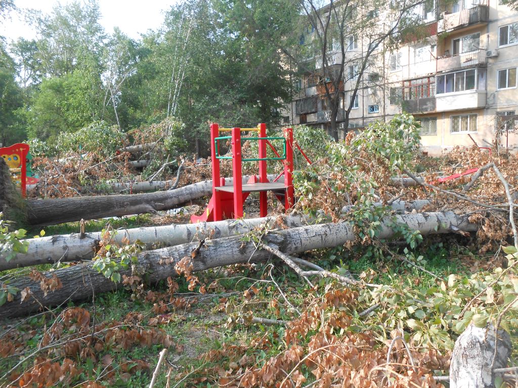 Детскую площадку в Хабаровске оставили без помощи под гнетом поваленных тополей