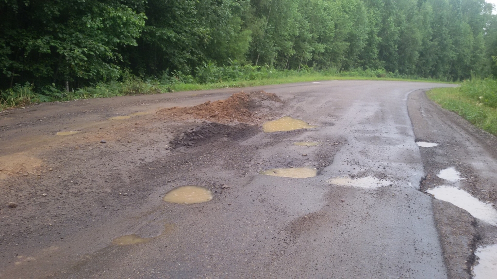 Неприятности поджидают водителей на дороге из хабаровского Бикина в приморское Светлогорье