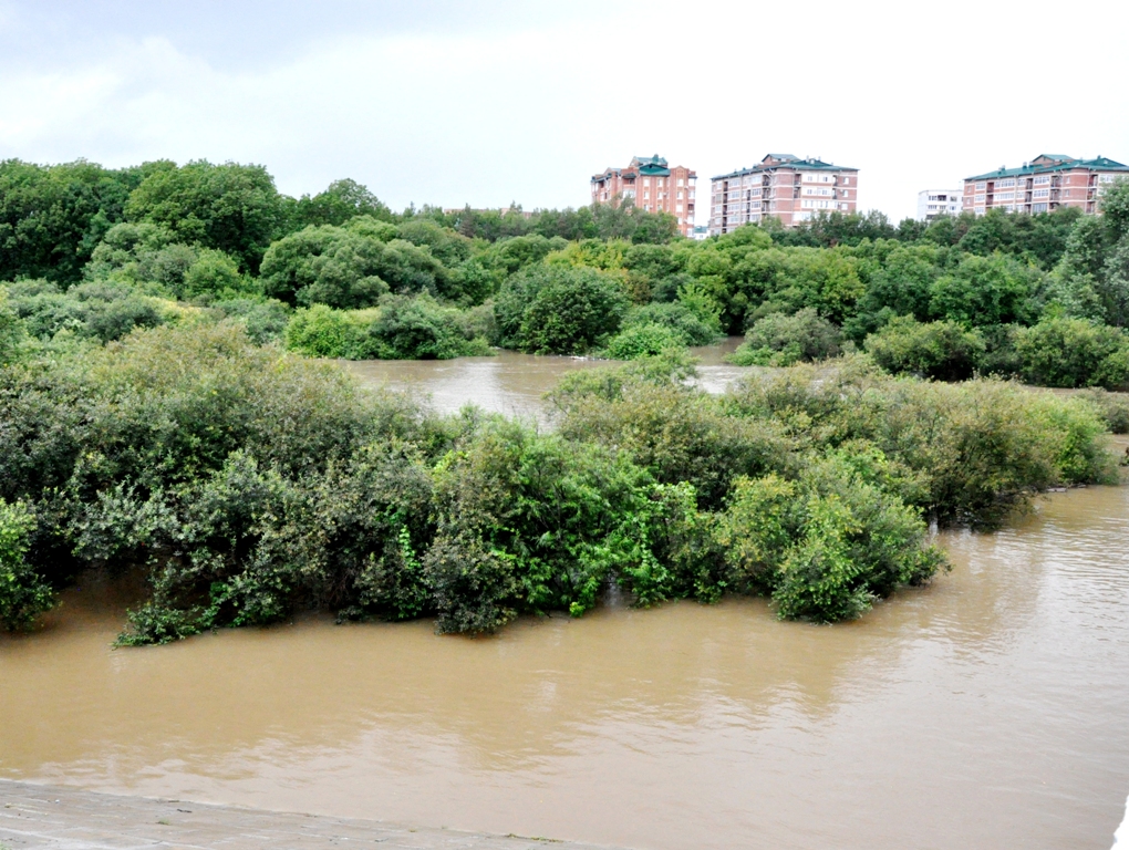 Вода поднялась на 2,5 метра в реке Борисовка под Уссурийском всего за два часа