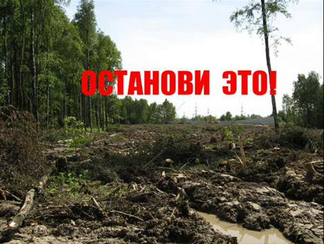 защитники химкинский лес