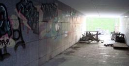 Вандалы делают все возможное, чтобы гости города запомнили его разрушенным и разрисованным Юлия Пушкина