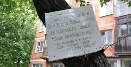 Не все первореченцы ценят чужой труд Анастасия Голованушкина