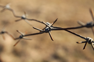 3367924.jpg