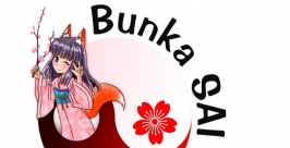 фестиваль Bunka SAI 2013 во Владивостоке  Клуб современной японской культуры Cool-Japan-Ru 