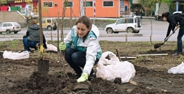 И взрослые, и ребятня с удовольствием высаживали маленькие кустики Пресс-служба администрации Владивостока