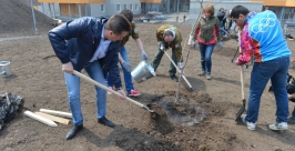Посадка Пресс-служба краевой администрации
