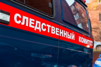 6010486.jpg