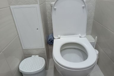 6080307.jpg