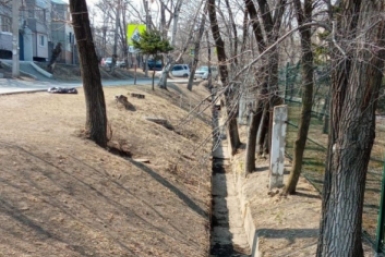 6088072.jpg