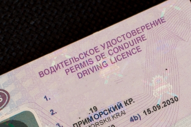 6105868.jpg