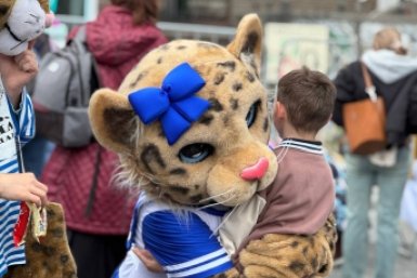 Центр Владивостока заполонили хищные кошки — фото, видео