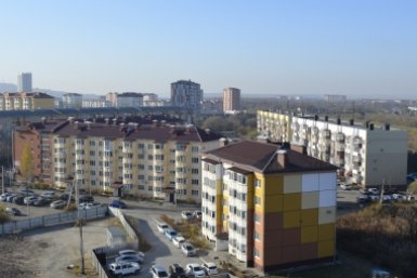 6118754.jpg