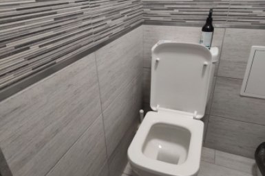 6120356.jpg