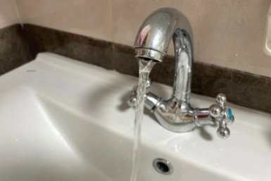 6120631.jpg