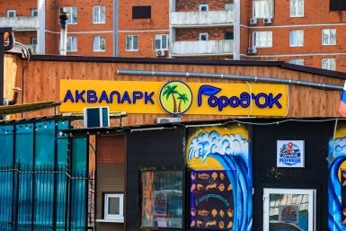 Новость дня