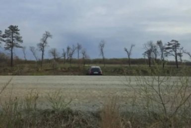 Автолюбительница с 11 штрафами за превышение скорости устроила ДТП с пострадавшими в Приморье