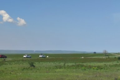 6135683.jpg