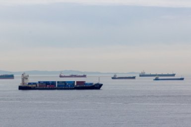 6145931.jpg