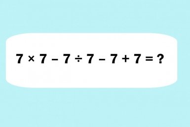 6154773.jpg