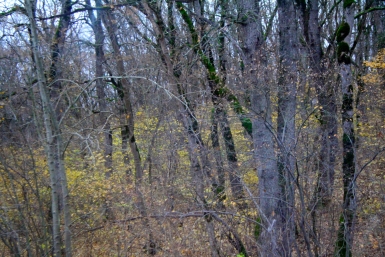 6155044.jpg