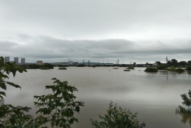 6165919.jpg
