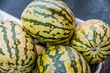 На арбузы не трачусь — выращиваю сама: крупные, сочные, сладкие — вкуснее магазинных, чистый натурпродукт