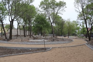 6170935.jpg