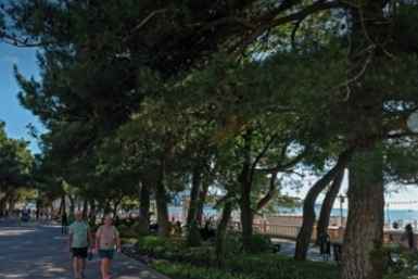 6184080.jpg