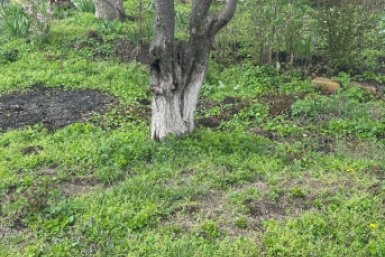 6194126.jpg