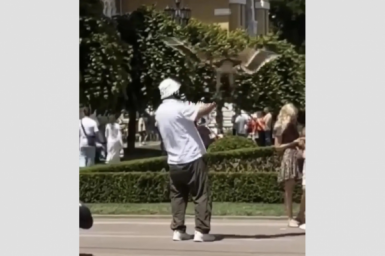 6230092.png