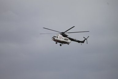 6239751.jpg