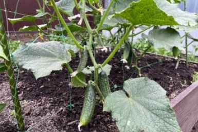 6241338.jpg