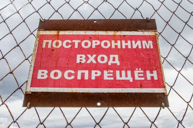 6247732.jpg