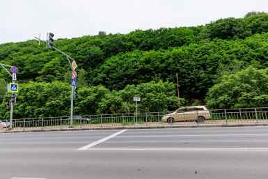%22Каменные джунгли%22 можно оживить: архитекторы Владивостока рассказали, как использовать лес Снеговой Пади