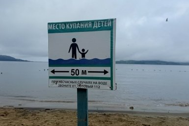 6265868.jpg
