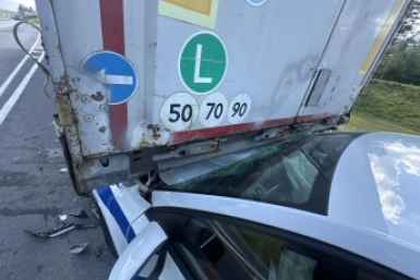 6266490.jpeg