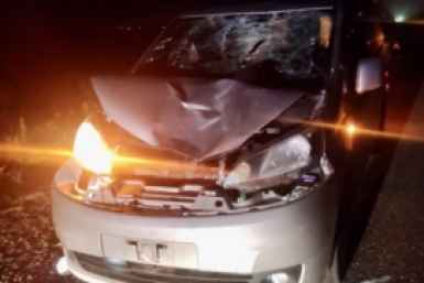 Пешеход погиб под колёсами автомобиля на трассе под Находкой