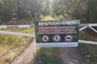 Ограничения в лесах Ставрополья продлили из-за высокой пожароопасности Минприроды Ставрополья