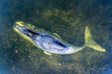 Тематическое фото Сергей Доля