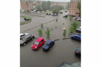 6292672.jpg
